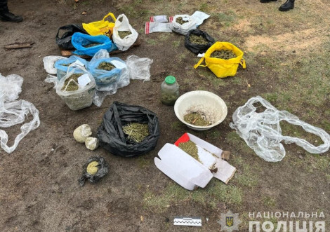 Поліція викрила масштабне вирощування марихуани на Охтирщині