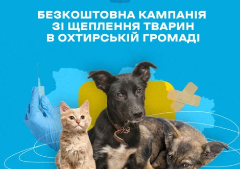 Безкоштовні профілактичні щеплення проти сказу в Охтирці