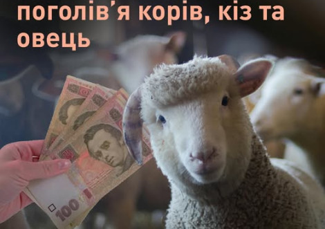 До уваги аграріїв: стартує програма державних дотацій на утримання худоби