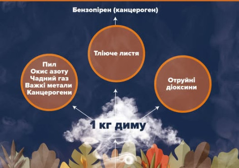 Охтирчанам заборонили спалювати листя