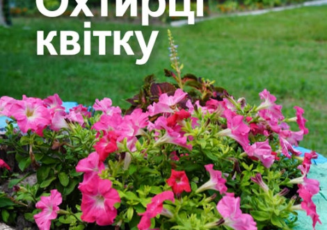 Зробимо Охтирку квітучою разом