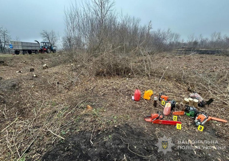 На Охтирщині незаконно вирубали понад 200 дерев