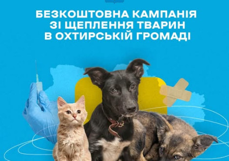 В Охтирці стартувала безкоштовна вакцинація тварин